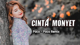 CINTA MONYET || POCO - POCO Remix ( Arjhun Kantiper )