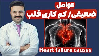 عوامل نارسایی/کم کاری قلب| دکتور قیس نیکزاد