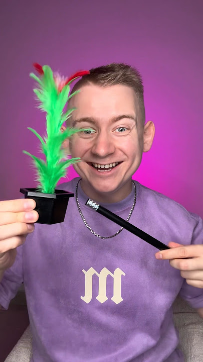 BASTA BOI AMERICAN MAGIC