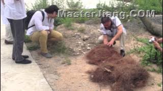 Master Jiang -- With Contact Pyrokinesis Demo -- August 2013