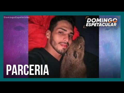 Vídeo: Quando animais de estimação famosos da Internet passam