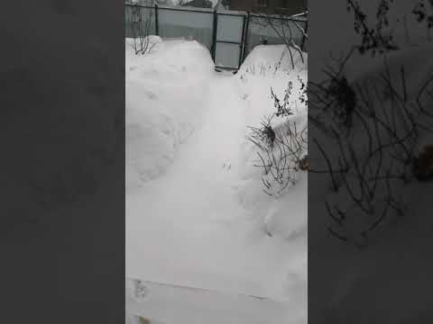 #Shorts #короткиевидео/гигантские сугробы в Подмосковье.巨型隨風飄飛的雪在莫斯科地區。
