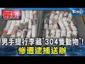 男手提行李藏「304隻動物」! 慘遭逮捕送辦｜TVBS新聞 @TVBSNEWS01