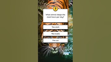 Can You Answer This? 🤔💡 #quizchallenge