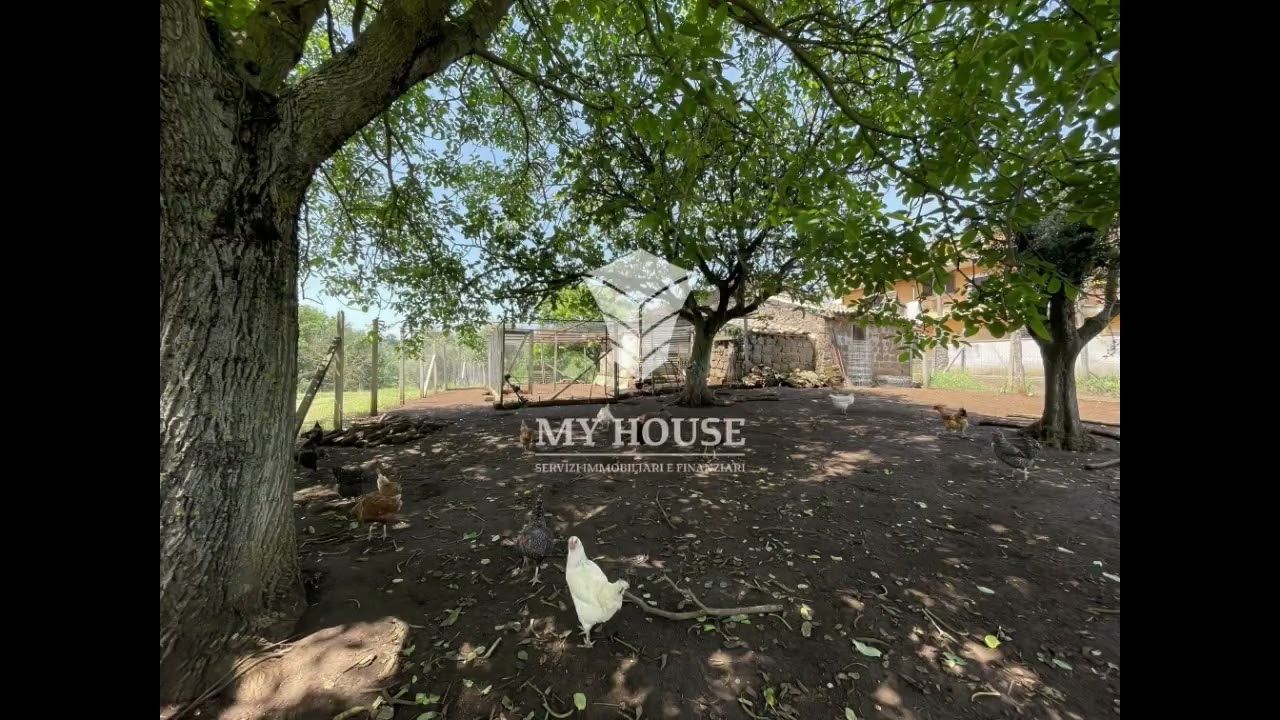 Video Rustico con terreno