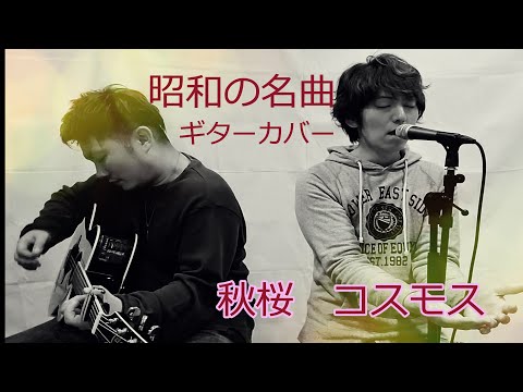さだまさし　秋桜　コスモス 　（　guiter cover　）※歌詞あり