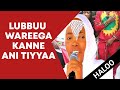 Hallo Daawwee Best Oromo Music HD Sirba Qabsoo Afaan Oromoo Durii HD Hawwisoo ABO HD 