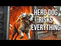 Hero Dog Risks Everything to Save Kitten From Burning House – You Won’t Believe What Happens Next!