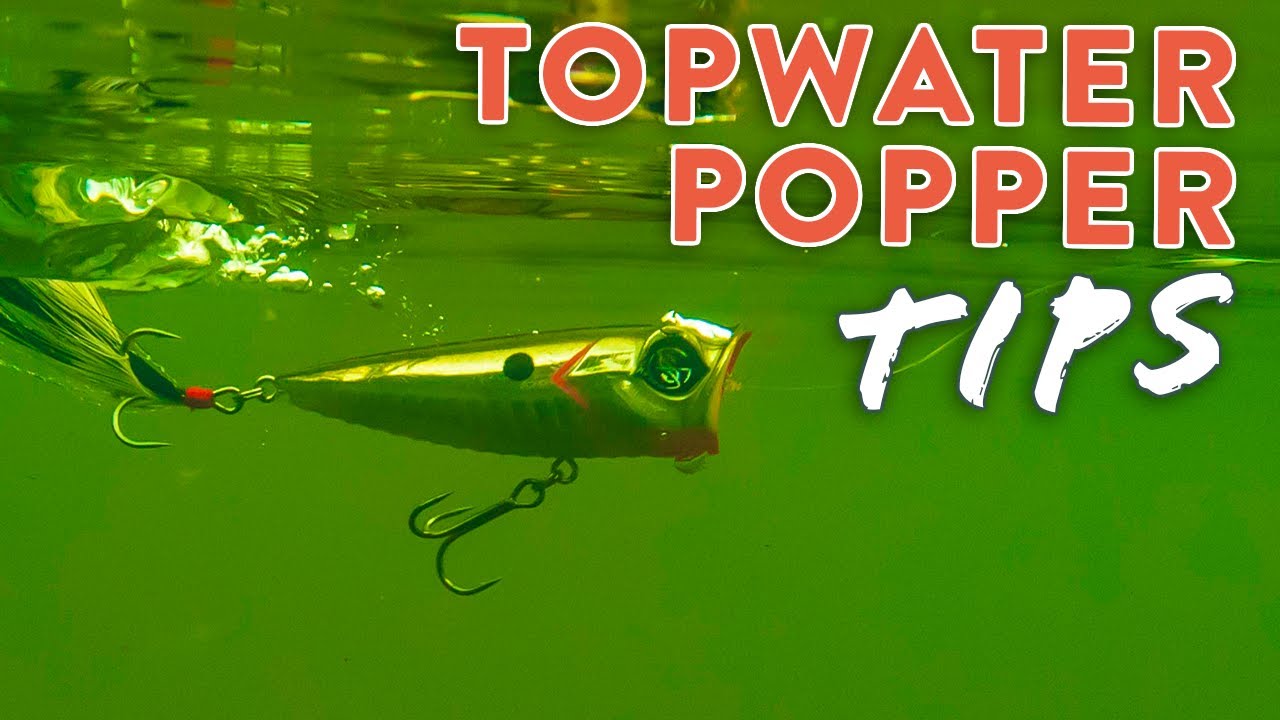 Topwater Popper Tips & Tricks: Catch MORE Fish On The Surface