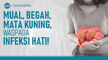 Gejala Awal Infeksi Hati, Ini Fakta dan Mitosnya | Hidup Sehat tvOne