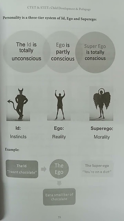 Theory of Sigmund Freud #Significantterms #CTET2022 #STET2022 #TNTET2022