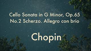 Chopin Cello Sonata Ludwig hoelscher 쇼팽 첼로 소나타 루트비히 횔셔 1976