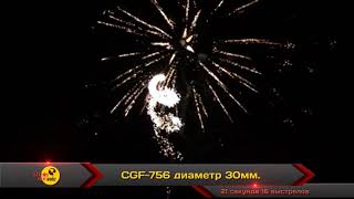 CGF 756