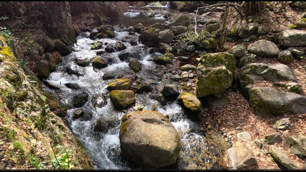 Les Gorges de la Carança