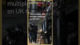 Two arrested after multiple stabbings on UK train