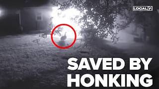 'Honking' goose alerts family to barn fire: 'Pure disbelief'