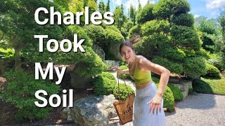Creeping Charlie Took Over My Yard | Funny Invasive Weed Song