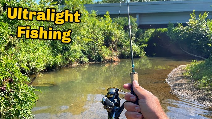 Rooster Tail Single Hook Creek Fishing 