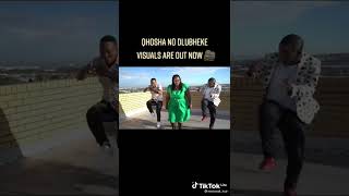 Qhosha Ngokwenzakwakhe