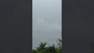 #fms #rc #rcplane