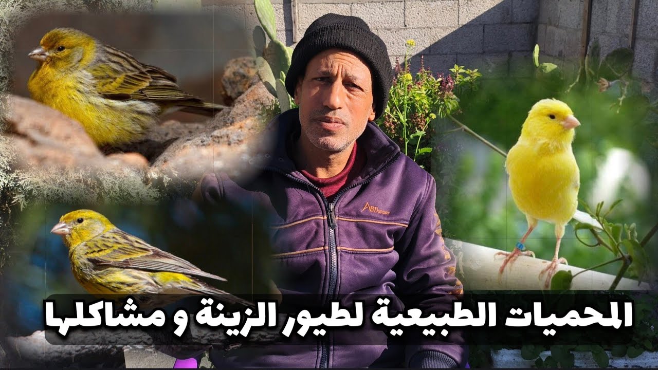 المحميات الطبيعية و المطاير اشياء لا بد من الانتباه لها