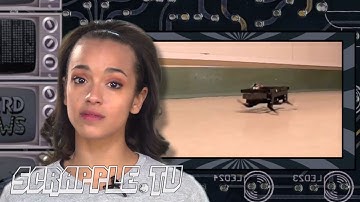 Insect Robots [Knerd Knews] Science and Technology