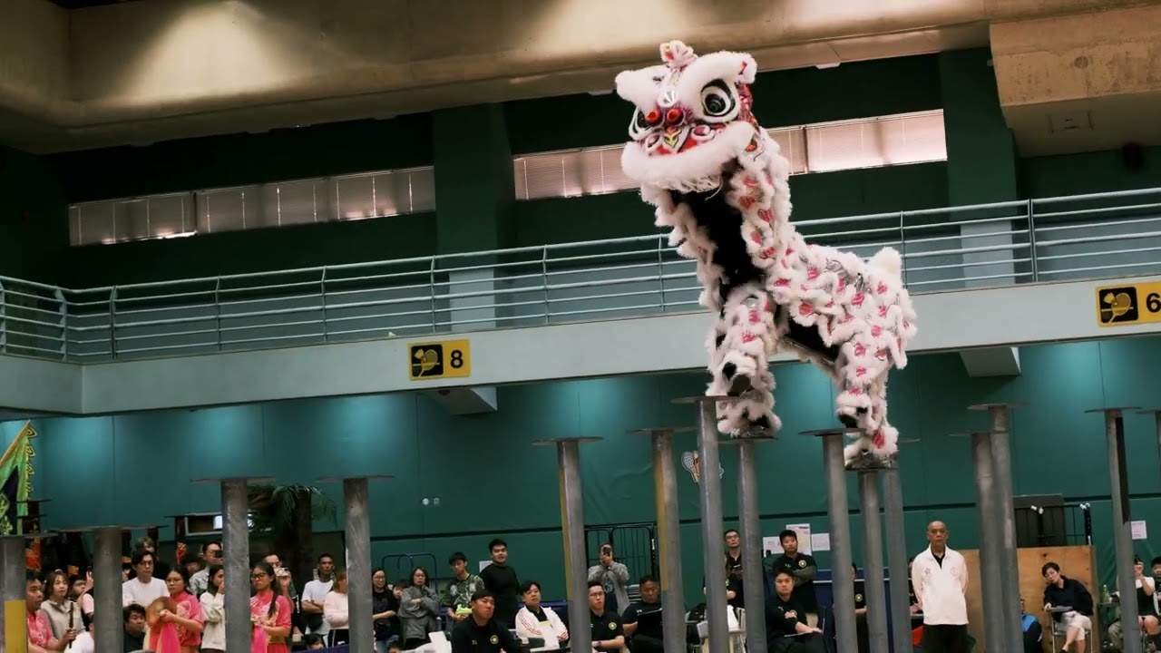 全港公開龍獅藝錦標賽2025 香港張強國術總會 2025/12/21