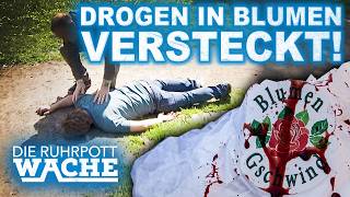 Flower Shop Scandal Uncovered: Dealer Knocks Out Brother! | Die Ruhrpottwache | SAT.1