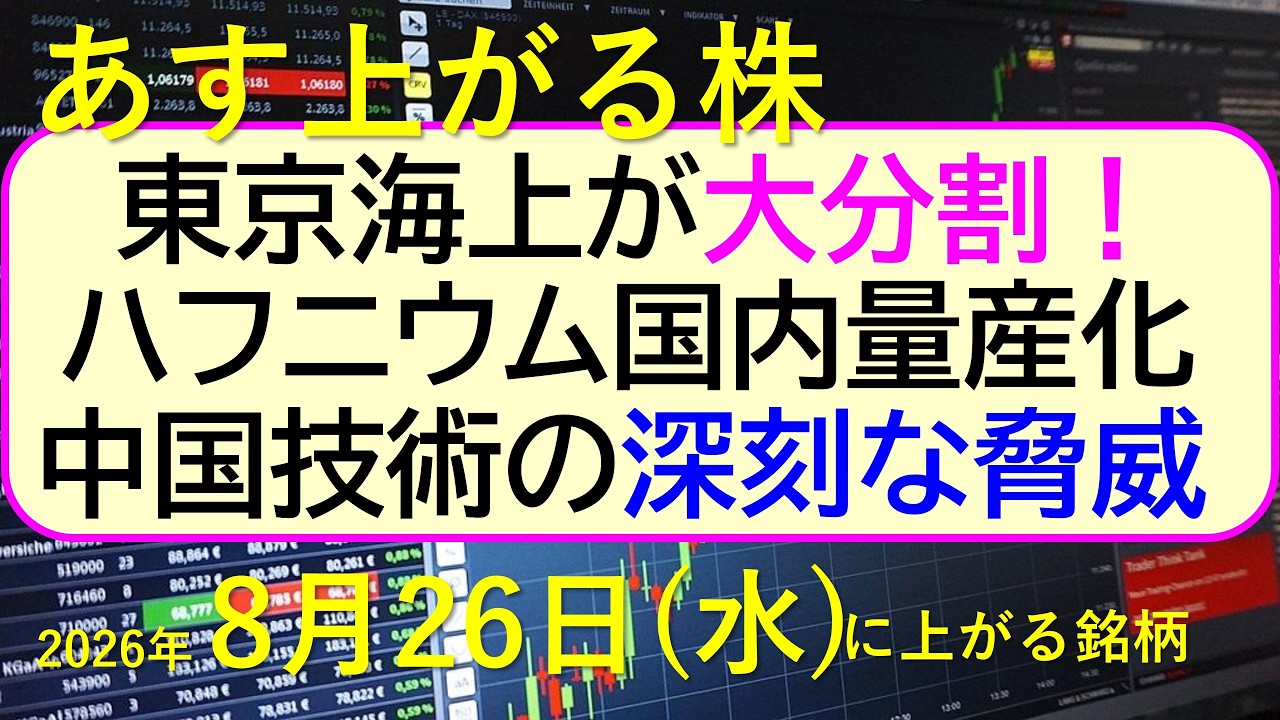 Tokio Marine's Massive Stock Split! Domestic Mass Production of