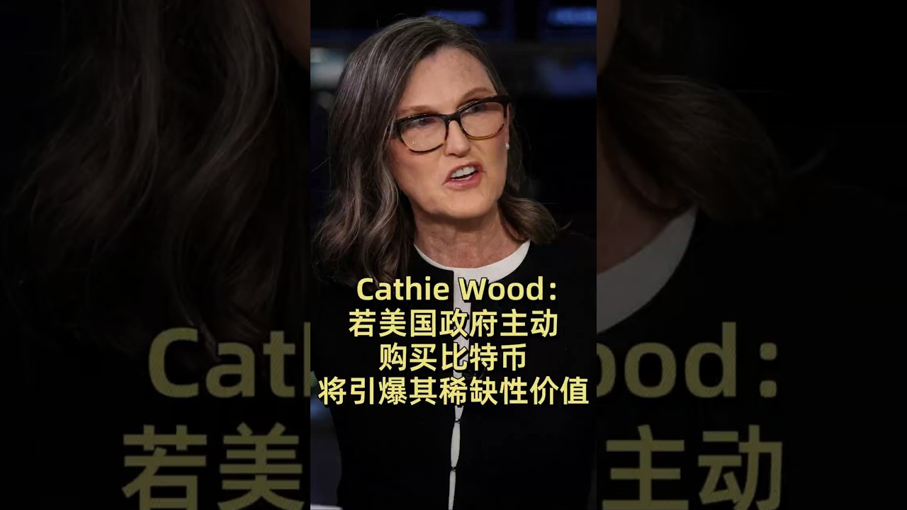 Cathie Wood：若美国政府主动购买比特币，将引爆其稀缺性价值#加密货币#比特币#区块链#金融- YouTube