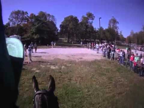 World Equestrian Games KY 2010, HJ Hampton (Henny)...
