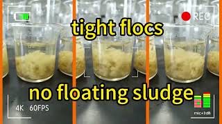 Flocculation And Sedimentation