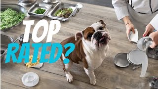 What is the best food for a bulldog? Highest rated dog food trial by Tia English Bulldog 70 views 4 months ago 26 seconds