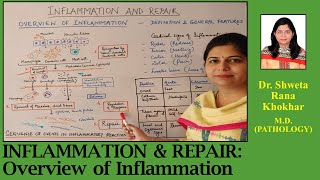 INFLAMMATION AND REPAIR: Overview of Inflammation; Definition and General features