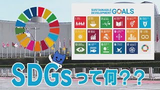 SDGsって何？？持続可能な開発目標って！？【マスクにゃんニュース】