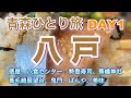 【青森ひとり旅】DAY1 八戸 食べ歩き & 観光