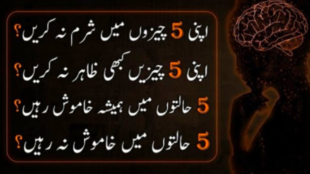 understand-5-things-shy-silence-secret-sayings-in-urdu-urdu
