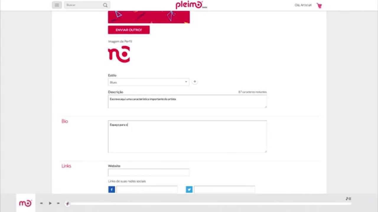 Como cadastrar mais de um artista no Pleimo?