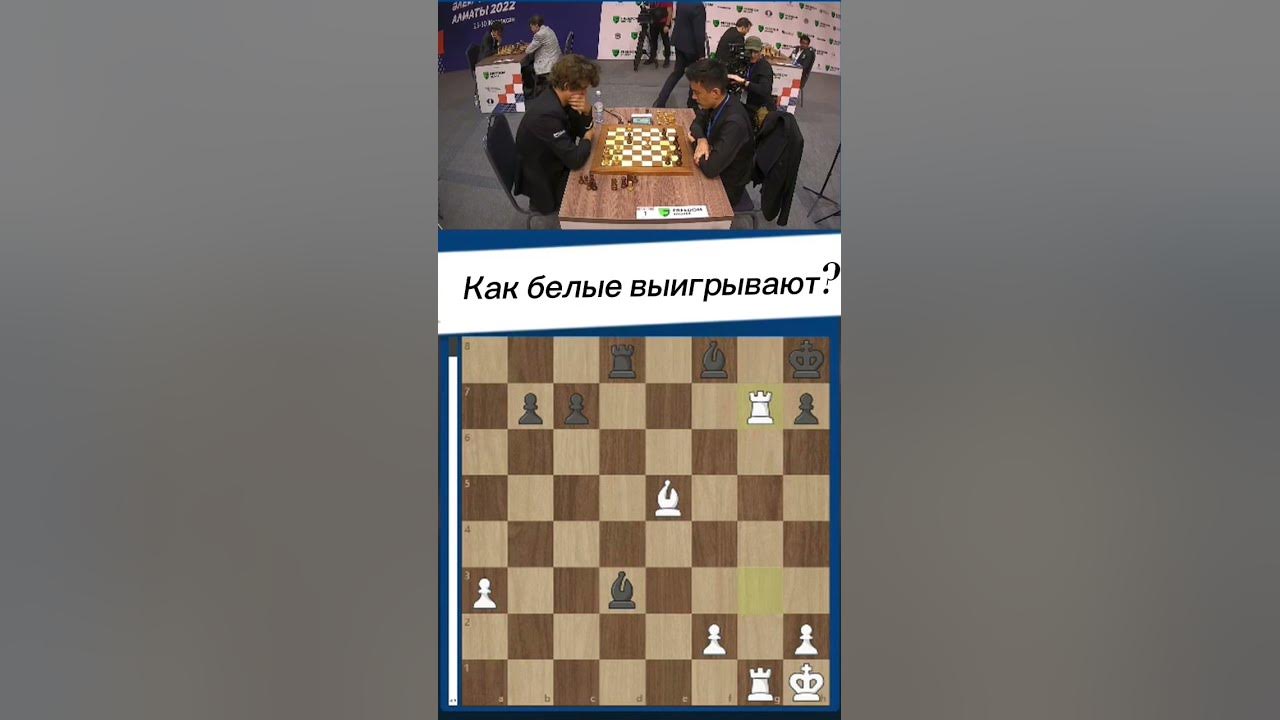 Школа шахмат Chesswave