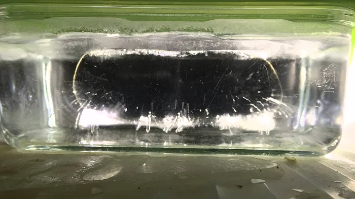 Time-lapse video of water freezing with bubble trails