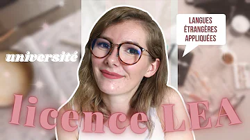 Quelles sont les matières en LEA ?