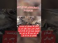 TEMPERED VEHICLE MEHRAN VEHICLE CARIM VERIFICATION INFORMATION