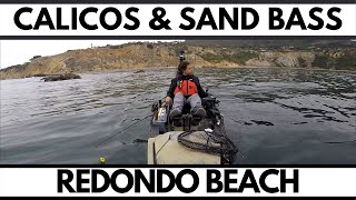 Redondo Beach Calicos Sand Bass - Time On The Water With Red