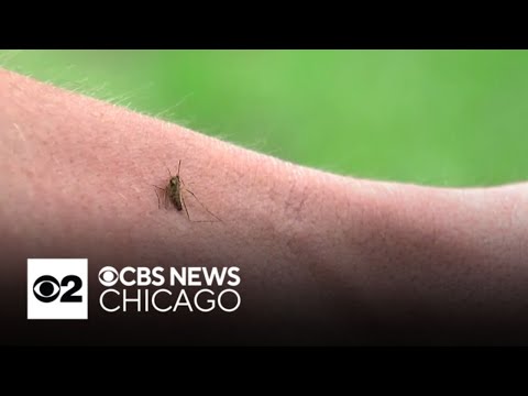Warning issued about West Nile virus with mosquito season beginning