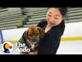 How Olympic Figure Skater Mirai Nagasu’s Rescue Dog Helped Her Make The Team | The Dodo Teammates