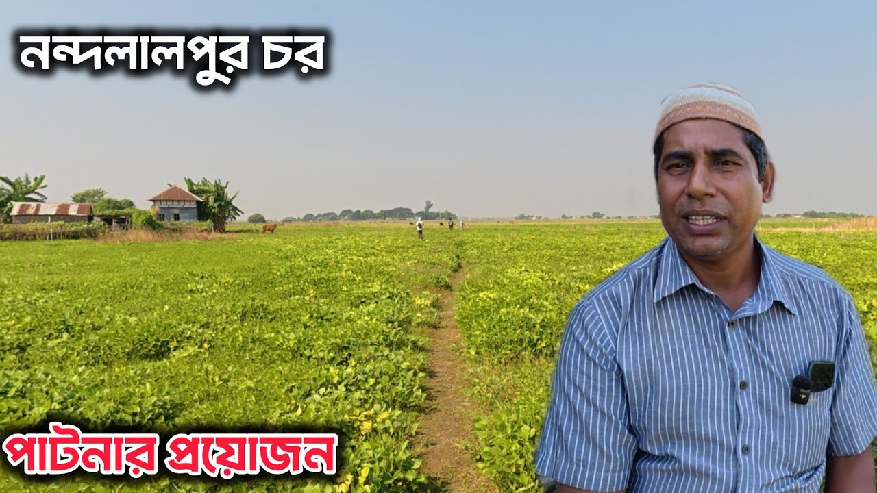 নন্দলালপুর চরে কলাবাগান ও খামার করার পার্টনার চাইলেন সবুজ মিয়া। নন্দলালপুর চরের বর্তমান অবস্থা। 