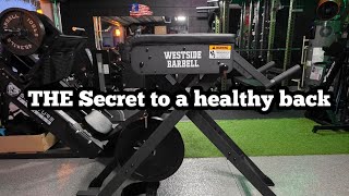 Celebrity Westside Barbell Scout Hyper: Install, review and demonstration #Reversehyper #backpain #homegym  Profile