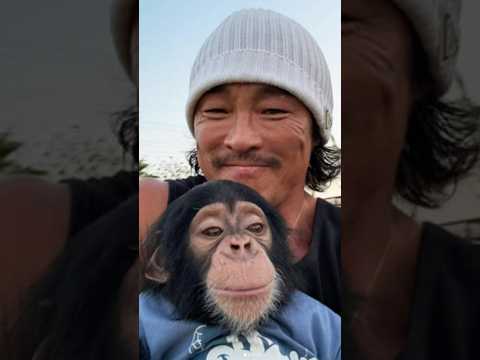 “추성훈, 유도 황제에서 사랑받는 예능 아빠로” #마초맨 #추성훈 #아조씨