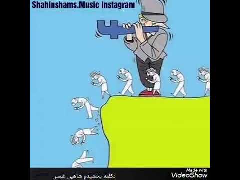 شاهین شمس     