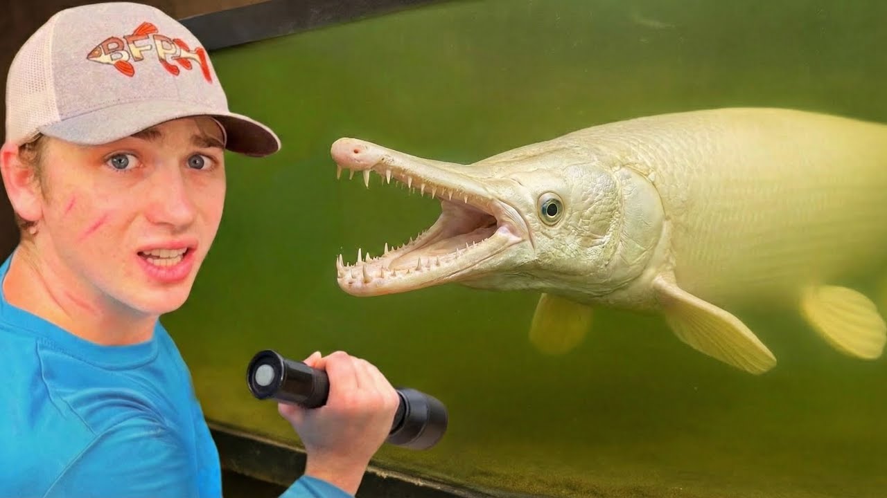 Akhirnya Beli Ikan Paling Langka di Dunia!